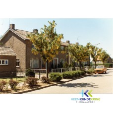 Tuindorp 11-7-1977 Coll. HKR (26)